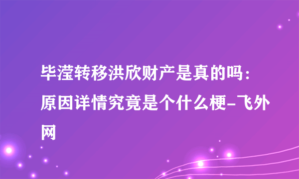 毕滢转移洪欣财产是真的吗：原因详情究竟是个什么梗-飞外网