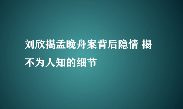 刘欣揭孟晚舟案背后隐情 揭不为人知的细节