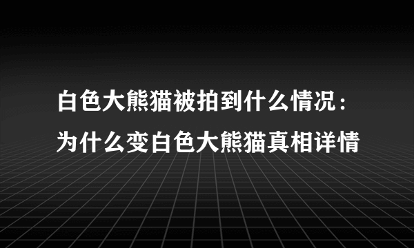 白色大熊猫被拍到什么情况：为什么变白色大熊猫真相详情