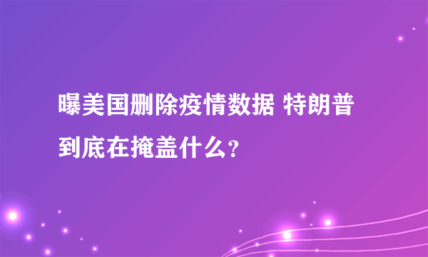 曝美国删除疫情数据 特朗普到底在掩盖什么？