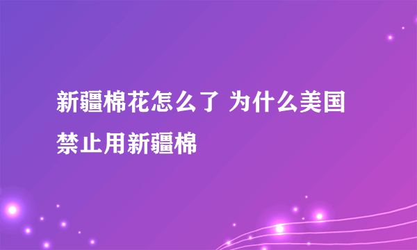 新疆棉花怎么了 为什么美国禁止用新疆棉