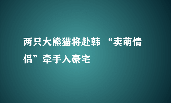 两只大熊猫将赴韩 “卖萌情侣”牵手入豪宅