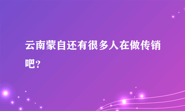 云南蒙自还有很多人在做传销吧？