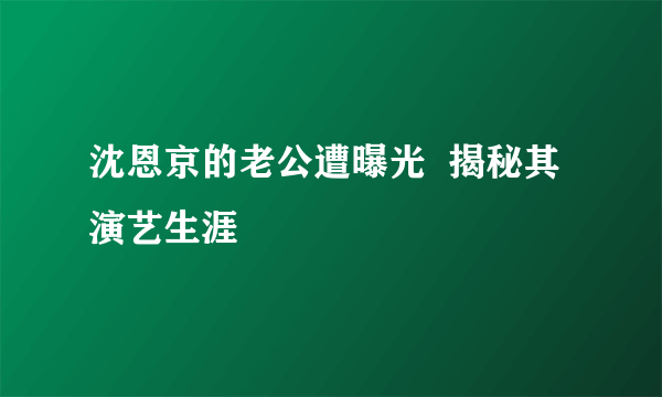 沈恩京的老公遭曝光  揭秘其演艺生涯