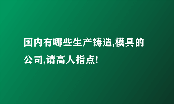 国内有哪些生产铸造,模具的公司,请高人指点!