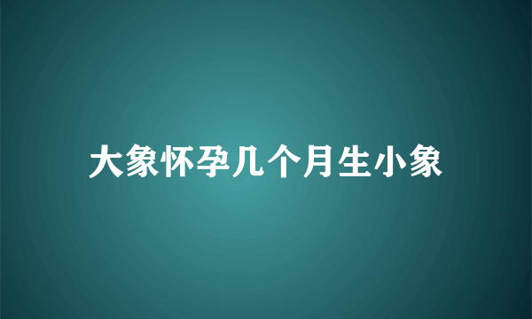 大象怀孕几个月生小象