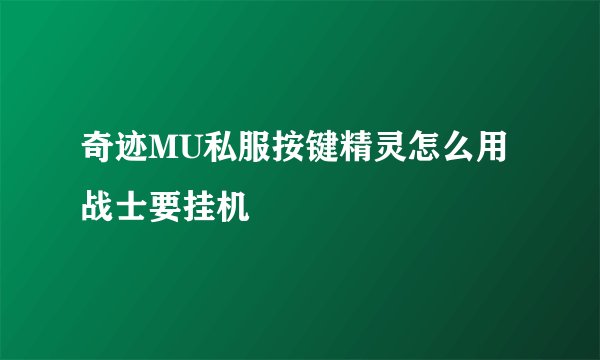 奇迹MU私服按键精灵怎么用战士要挂机