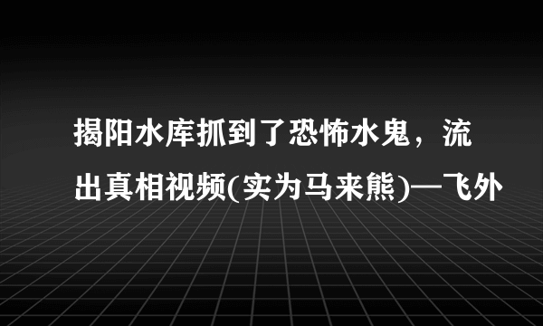 揭阳水库抓到了恐怖水鬼，流出真相视频(实为马来熊)—飞外