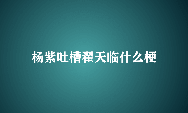 杨紫吐槽翟天临什么梗