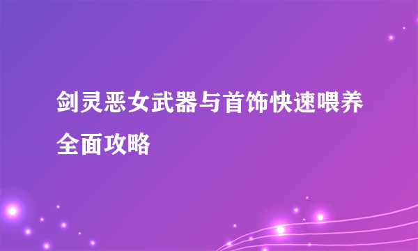 剑灵恶女武器与首饰快速喂养全面攻略