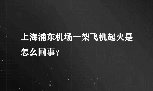 上海浦东机场一架飞机起火是怎么回事？