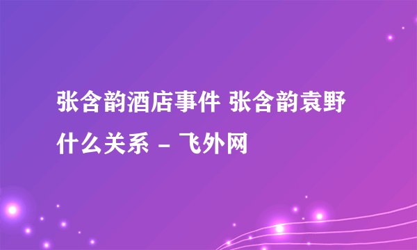 张含韵酒店事件 张含韵袁野什么关系 - 飞外网