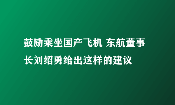 鼓励乘坐国产飞机 东航董事长刘绍勇给出这样的建议