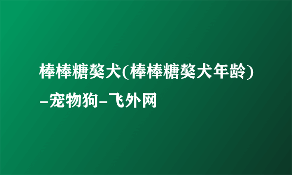 棒棒糖獒犬(棒棒糖獒犬年龄)-宠物狗-飞外网