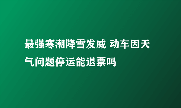 最强寒潮降雪发威 动车因天气问题停运能退票吗