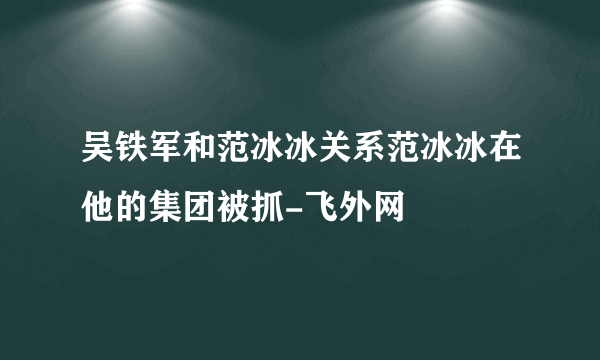 吴铁军和范冰冰关系范冰冰在他的集团被抓-飞外网