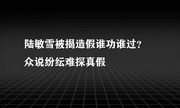 陆敏雪被揭造假谁功谁过？ 众说纷纭难探真假