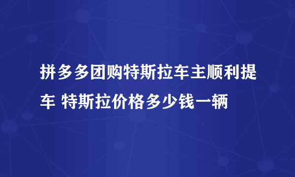 拼多多团购特斯拉车主顺利提车 特斯拉价格多少钱一辆