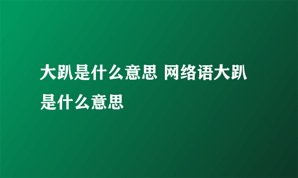 大趴是什么意思 网络语大趴是什么意思