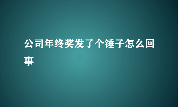 公司年终奖发了个锤子怎么回事