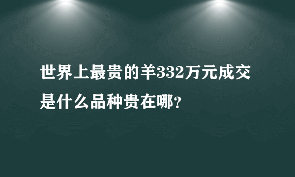 世界上最贵的羊332万元成交 是什么品种贵在哪？