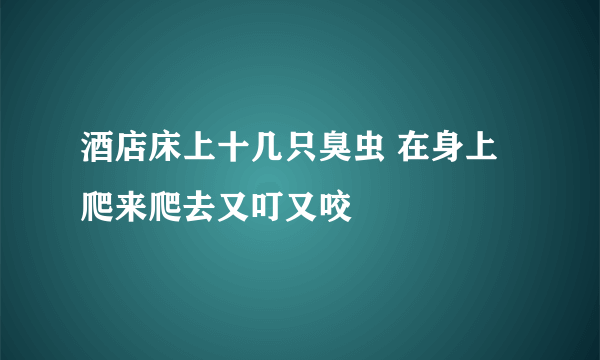 酒店床上十几只臭虫 在身上爬来爬去又叮又咬