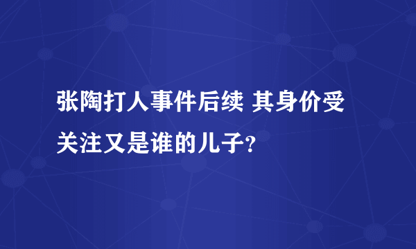 张陶打人事件后续 其身价受关注又是谁的儿子？