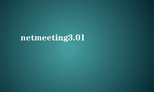 netmeeting3.01