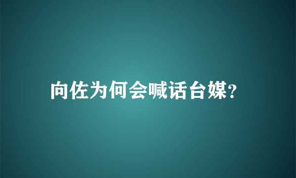 向佐为何会喊话台媒？