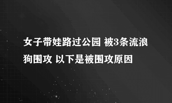 女子带娃路过公园 被3条流浪狗围攻 以下是被围攻原因