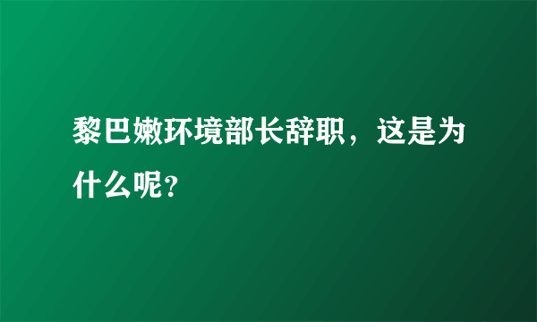 黎巴嫩环境部长辞职，这是为什么呢？