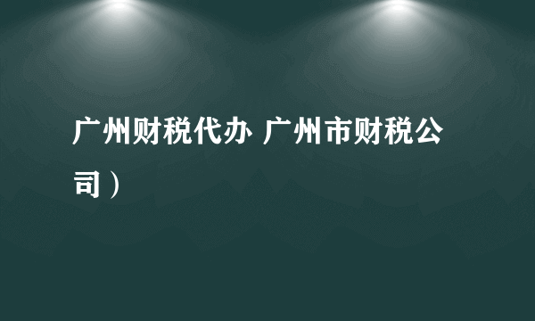 广州财税代办 广州市财税公司）