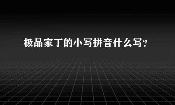 极品家丁的小写拼音什么写？