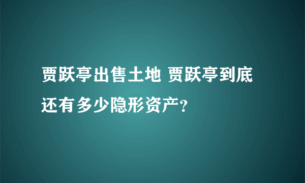 贾跃亭出售土地 贾跃亭到底还有多少隐形资产？