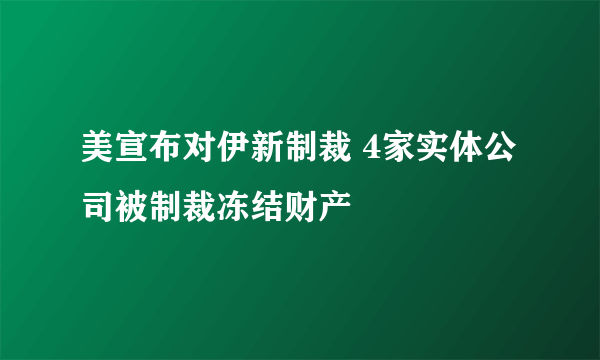 美宣布对伊新制裁 4家实体公司被制裁冻结财产