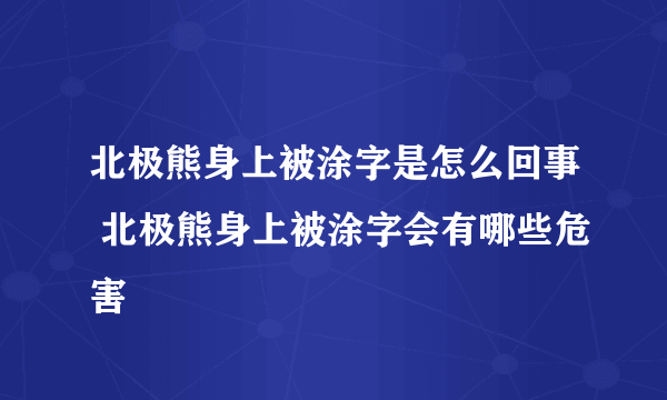 北极熊身上被涂字是怎么回事 北极熊身上被涂字会有哪些危害