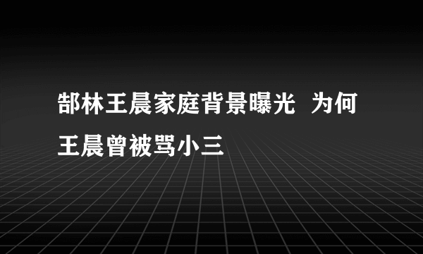 郜林王晨家庭背景曝光  为何王晨曾被骂小三