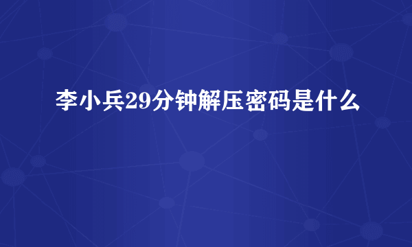 李小兵29分钟解压密码是什么