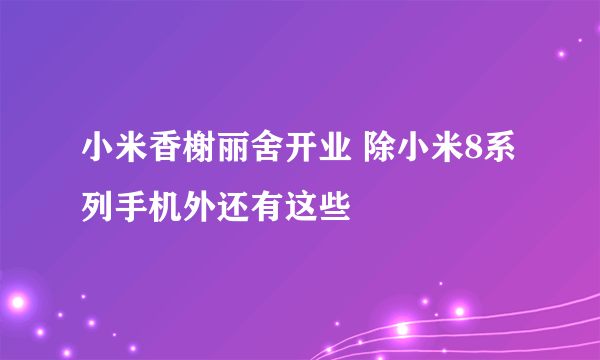 小米香榭丽舍开业 除小米8系列手机外还有这些