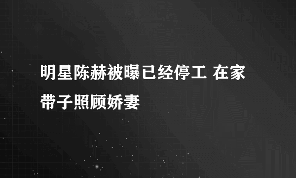 明星陈赫被曝已经停工 在家带子照顾娇妻