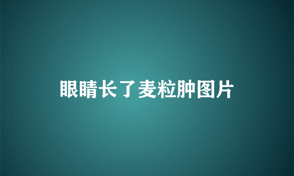 眼睛长了麦粒肿图片