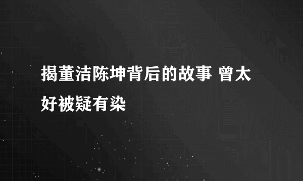 揭董洁陈坤背后的故事 曾太好被疑有染