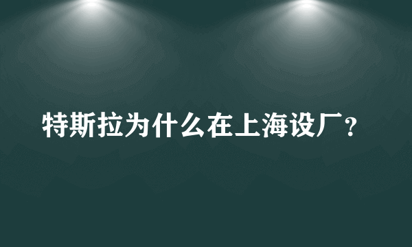 特斯拉为什么在上海设厂？