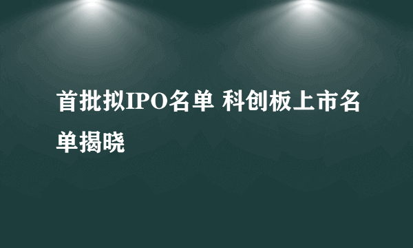 首批拟IPO名单 科创板上市名单揭晓