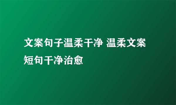 文案句子温柔干净 温柔文案短句干净治愈