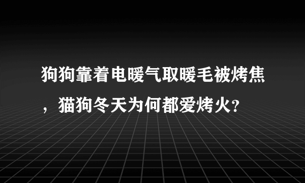 狗狗靠着电暖气取暖毛被烤焦，猫狗冬天为何都爱烤火？