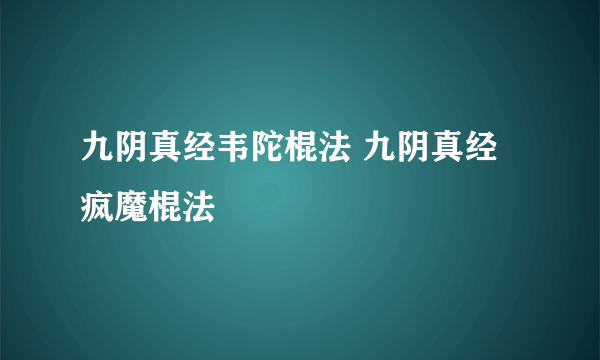 九阴真经韦陀棍法 九阴真经疯魔棍法