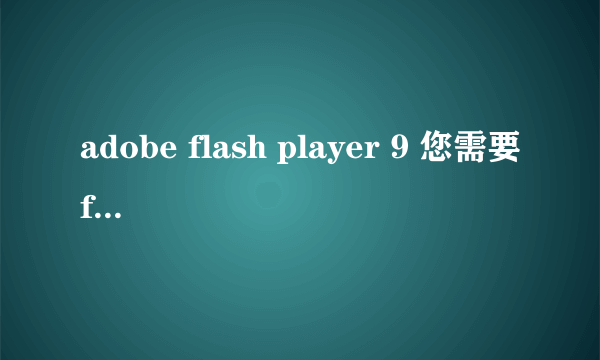 adobe flash player 9 您需要flash player 9.028或以上版本）