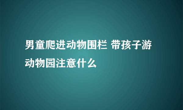 男童爬进动物围栏 带孩子游动物园注意什么