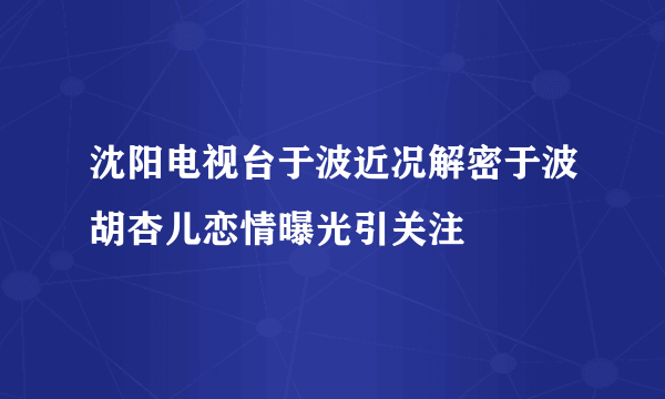 沈阳电视台于波近况解密于波胡杏儿恋情曝光引关注